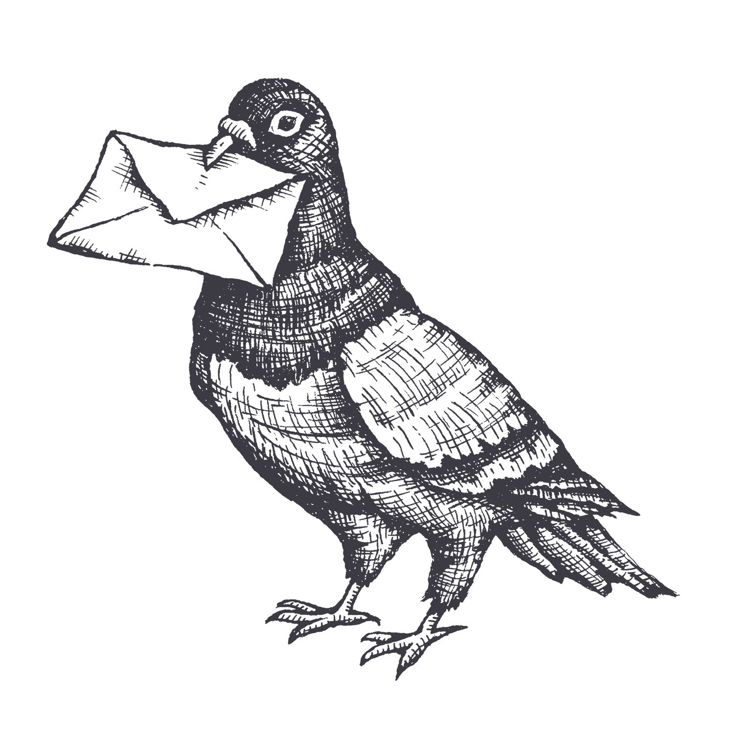 Pigeon with letter in beak